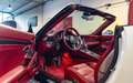 Porsche 991 Carrera 4 GTS Cabriolet Blanco - thumbnail 11