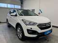 Hyundai SANTA FE 2.2 CRDi blue Style*Allrad*Xenon*4xSHZ*Sitzbl*Pano Blanc - thumbnail 3