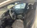 Ford Puma 1.0 Ecoboost Hybrid 125CV Titanium Bianco - thumbnail 12