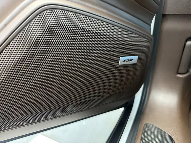 Porsche Panamera 4 E-Hybrid Ansicht 19