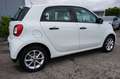 smart forFour forfour Automatik*Sitzheizung*Allwetter*Alu* Weiß - thumbnail 13
