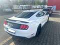 Ford Mustang Fastback 5.0 Ti-VCT V8 Aut. GT Usa Import Blanc - thumbnail 10