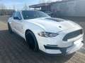 Ford Mustang Fastback 5.0 Ti-VCT V8 Aut. GT Usa Import Weiß - thumbnail 9