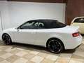 Audi A5 Cabrio 2.0 TDI clean diesel quattro Blanco - thumbnail 12