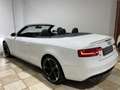 Audi A5 Cabrio 2.0 TDI clean diesel quattro Blanco - thumbnail 6