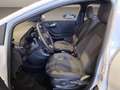 Ford Puma 1.0 ecoboost h ST-Line s&s 125cv Blanc - thumbnail 8
