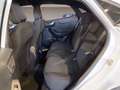 Ford Puma 1.0 ecoboost h ST-Line s&s 125cv Blanc - thumbnail 9