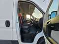 Fiat Ducato 33 2.3 MJT 130CV PC-TN Wit - thumbnail 7