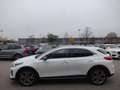 Kia XCeed 1,6 Platinum Plug-in PANO ACC BLIS LEDER Weiß - thumbnail 4