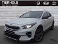 Kia XCeed 1,6 Platinum Plug-in PANO ACC BLIS LEDER Weiß - thumbnail 2