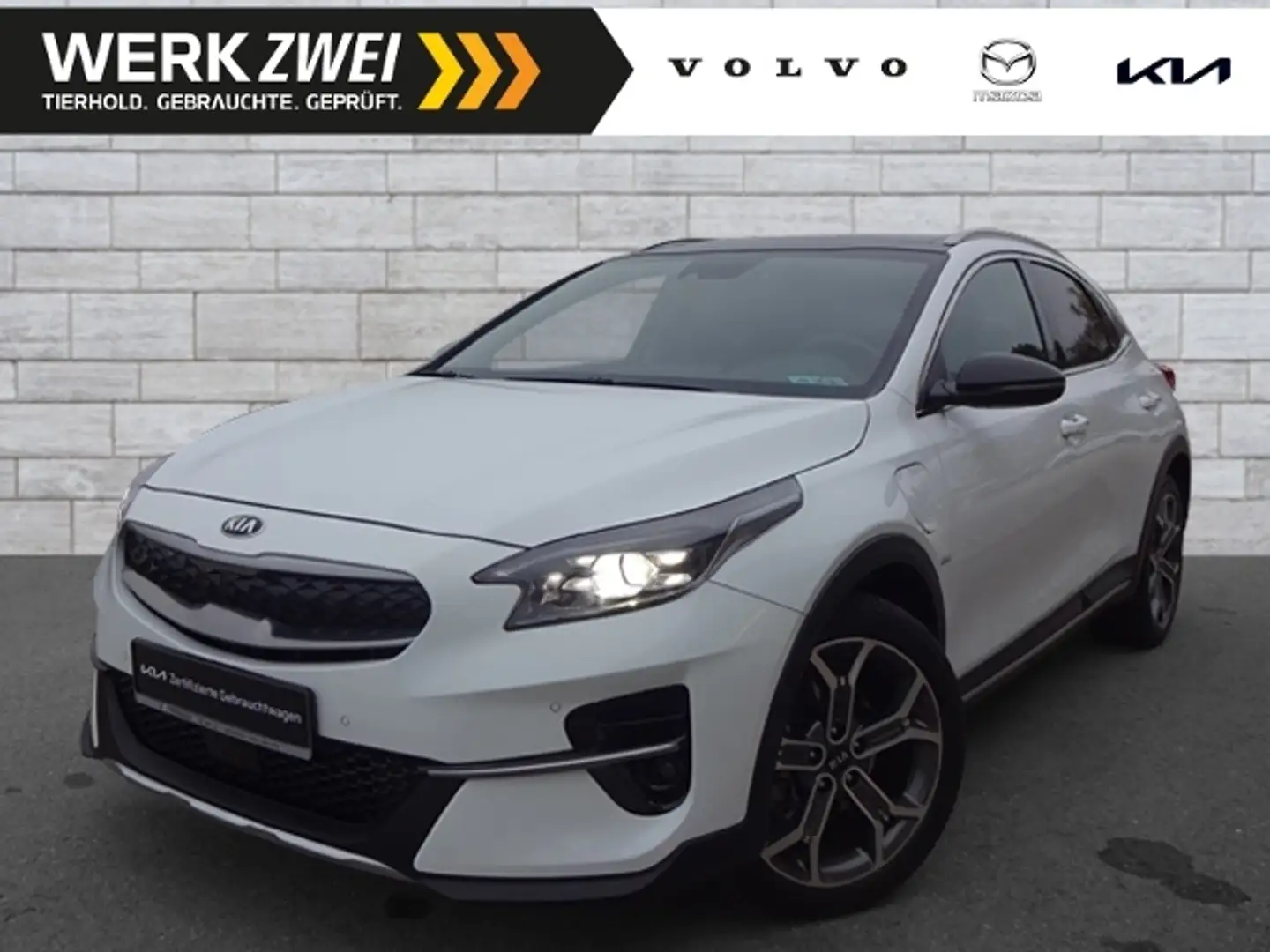 Kia XCeed 1,6 Platinum Plug-in PANO ACC BLIS LEDER Weiß - 1