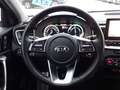 Kia XCeed 1,6 Platinum Plug-in PANO ACC BLIS LEDER Weiß - thumbnail 13