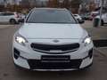 Kia XCeed 1,6 Platinum Plug-in PANO ACC BLIS LEDER Weiß - thumbnail 10