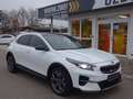 Kia XCeed 1,6 Platinum Plug-in PANO ACC BLIS LEDER Weiß - thumbnail 9
