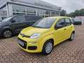 Fiat Panda Pandina Icon-PDC hinten Gelb - thumbnail 1