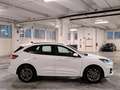 Ford Kuga 2000 EcoBlue 120CV ST-Line Automatico 2WD *Km. 0* Bianco - thumbnail 15