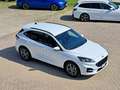 Ford Kuga 2000 EcoBlue 120CV ST-Line Automatico 2WD *Km. 0* Bianco - thumbnail 1