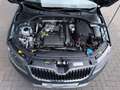 Skoda Octavia Lim. Joy Gris - thumbnail 13