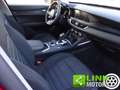 Alfa Romeo Stelvio 2.2 Turbodiesel 160 CV AT8 RWD Super Rot - thumbnail 18