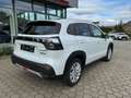Suzuki SX4 S-Cross Comfort Kamera LED Blanc - thumbnail 5