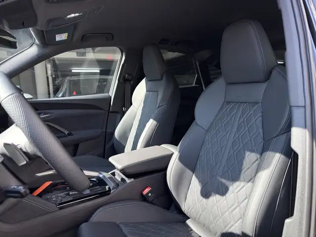 Audi Q5 view 11