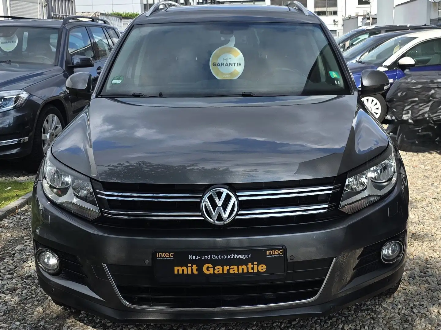 Volkswagen Tiguan Cup Sport Grau - 1