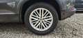 Volkswagen Tiguan Cup Sport Grau - thumbnail 23