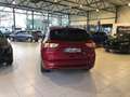Ford Kuga ST LINE  2.5 FHEV   BIJ DRIESEN IN BREE   089/4616 Rouge - thumbnail 4