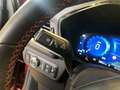 Ford Kuga ST LINE  2.5 FHEV   BIJ DRIESEN IN BREE   089/4616 Rouge - thumbnail 12