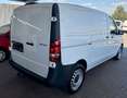 Mercedes-Benz Vito Kasten 116 CDI komp. RFK/AHK/Standhzg./Temp Weiß - thumbnail 4