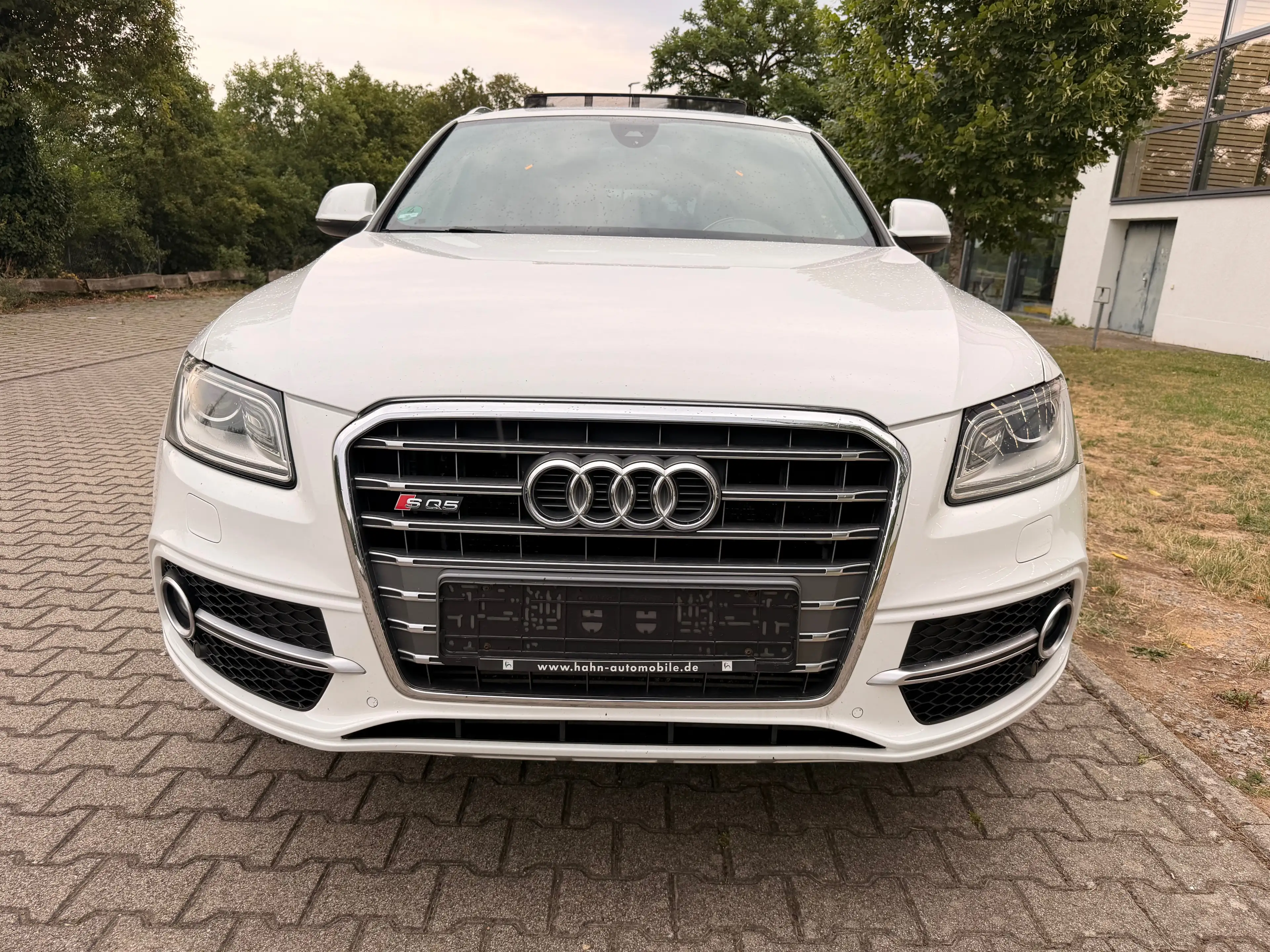 Audi SQ5 3.0 TDI quattro — photo 11