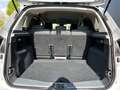 Ford C-Max C-MAX Champions Edition Argintiu - thumbnail 20