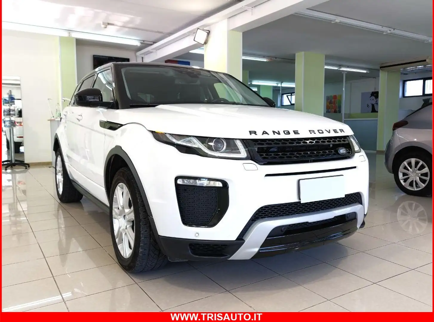 Land Rover Range Rover Evoque 2.0 TD4 Aut. SE Dynamic (Pelle+Navi) Blanc - 1