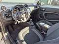 smart forTwo eq Pulse 22kW Grau - thumbnail 6