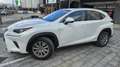 Lexus NX 300h NX 300h Business Navigation 2WD Business Navigation Blanco - thumbnail 2