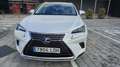 Lexus NX 300h NX 300h Business Navigation 2WD Business Navigation Blanco - thumbnail 3