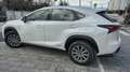 Lexus NX 300h NX 300h Business Navigation 2WD Business Navigation Blanco - thumbnail 4