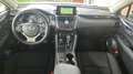 Lexus NX 300h NX 300h Business Navigation 2WD Business Navigation Blanco - thumbnail 7
