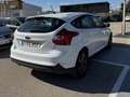 Ford Focus 1.6TDCi Trend+ 95 Blanco - thumbnail 4