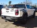 Ford Ranger Raptor V6 292PS Autm. 4WD el. Rollo Weiß - thumbnail 5