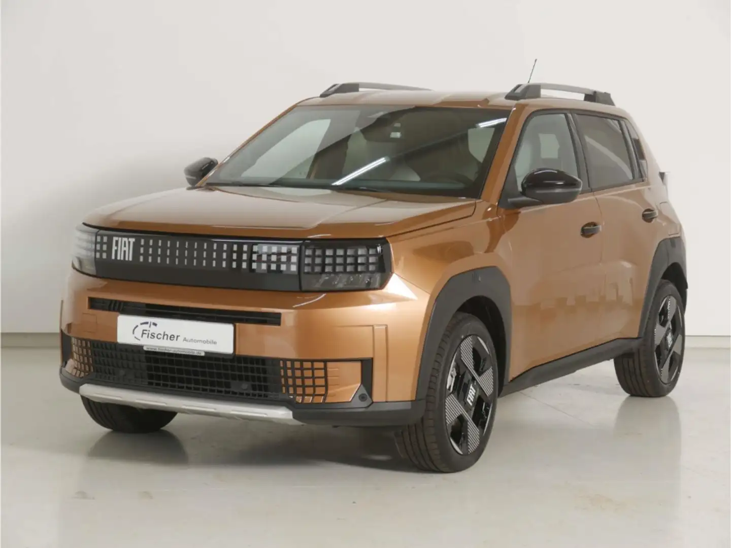 Fiat Grande Panda e Elektro la Prima Gold - 2