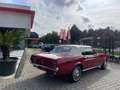 Ford Mustang cabrio Rouge - thumbnail 5