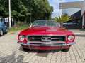 Ford Mustang cabrio Rouge - thumbnail 11