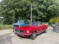 Ford Mustang cabrio Rouge - thumbnail 12