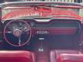 Ford Mustang cabrio "OPENHOUSE 25&26 May" Rood - thumbnail 18