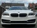 BMW 518 518 d F11 PANO HEAD-UP PDC NAVI AUTOMATIK TÜV Weiß - thumbnail 9
