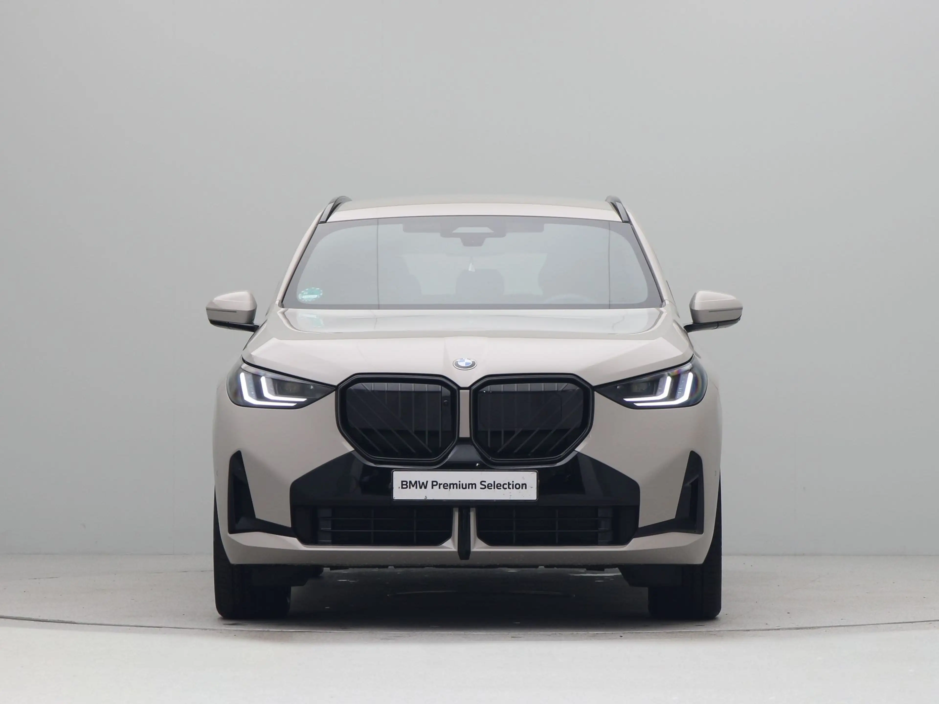 BMW X3 30e xDrive — photo 6