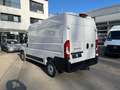 Fiat Ducato 35 L2H2 AHK Navi RüKa CarPlay Laderaumver White - thumbnail 7