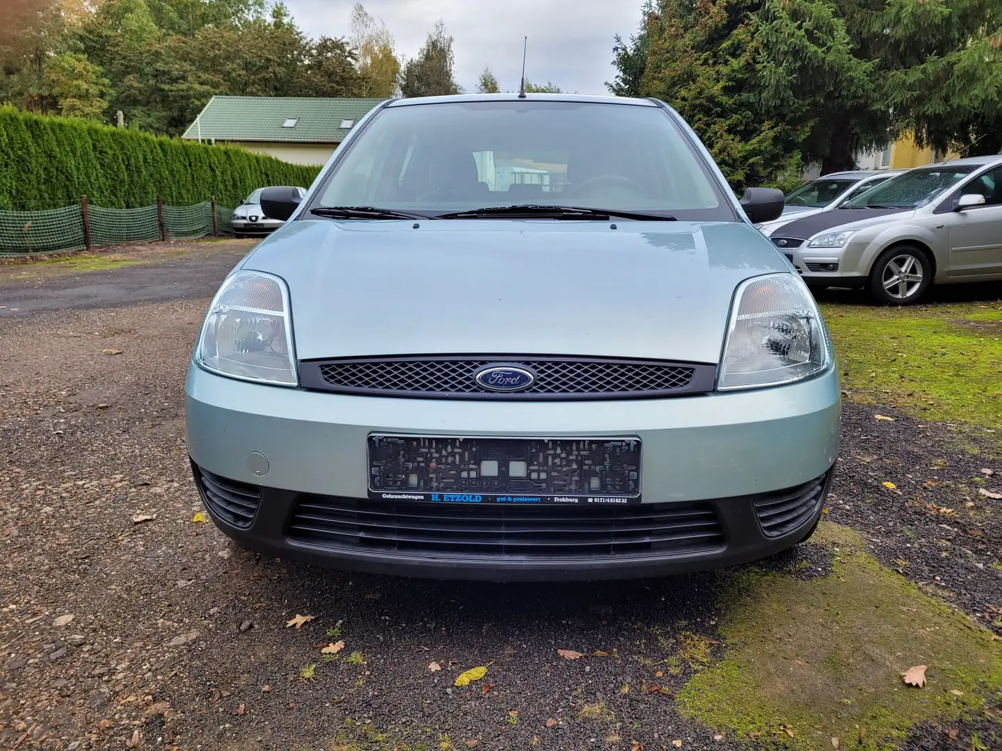 Ford Fiesta Ambiente Grün - 2