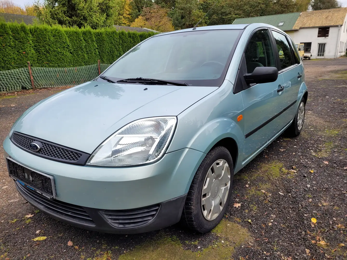 Ford Fiesta Ambiente Grün - 1